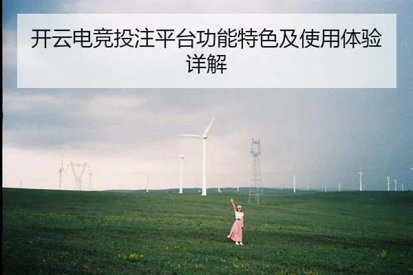 开云电竞投注平台功能特色及使用体验详解
